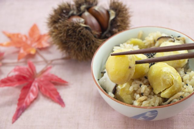 【家事ヤロウ】炊き込みご飯レシピ4品まとめ｜炊飯器に入れて炊くだけ